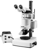 Stereomicroscope Leica