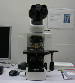 Microsc Nikon Eclipse 80i_1f.jpg
