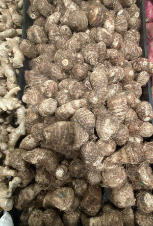 Tubercule de taro