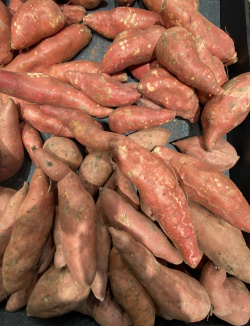 Patate douce.JPG