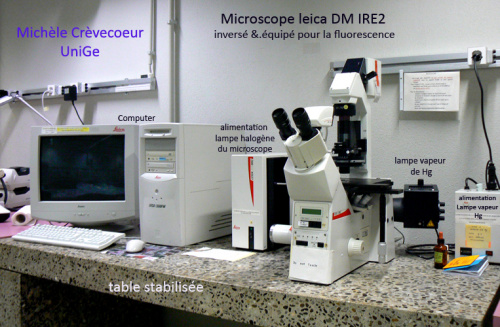 Leica DM IRE2