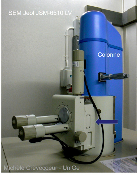 JEOL 6510 LV Colonne