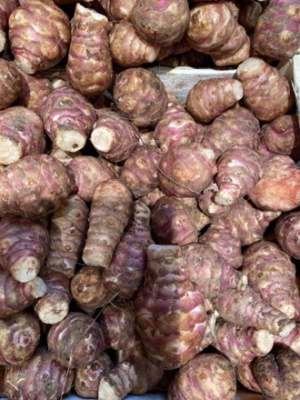 Topinambour.jpg