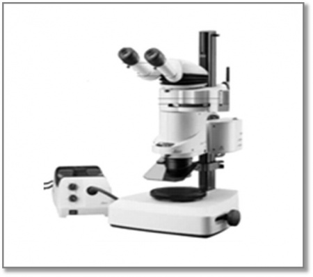 Stereomicroscope Leica 2