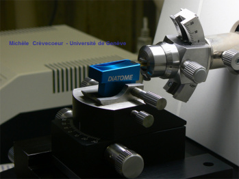Couteau diatome1.jpg